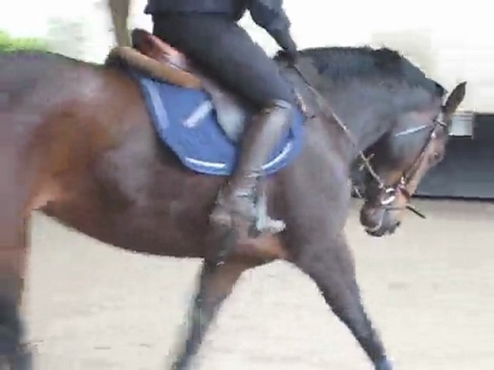 One more au trot 2