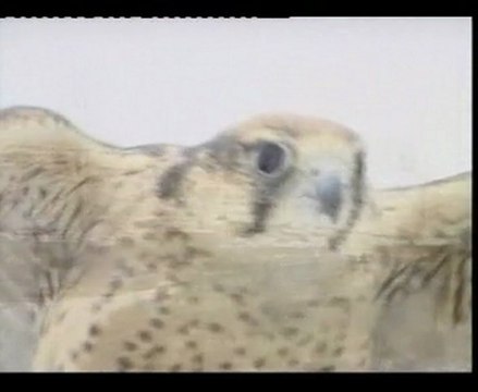 Kovács - Magyar András: Táltos Karácsony Szabolcsföldváron