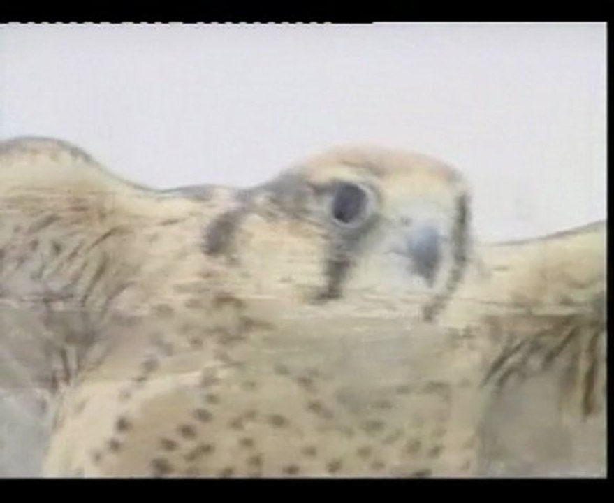 Kovács - Magyar András: Táltos Karácsony Szabolcsföldváron