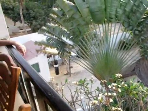 video 1 sénégal - cap skirring - la villa des pêcheurs