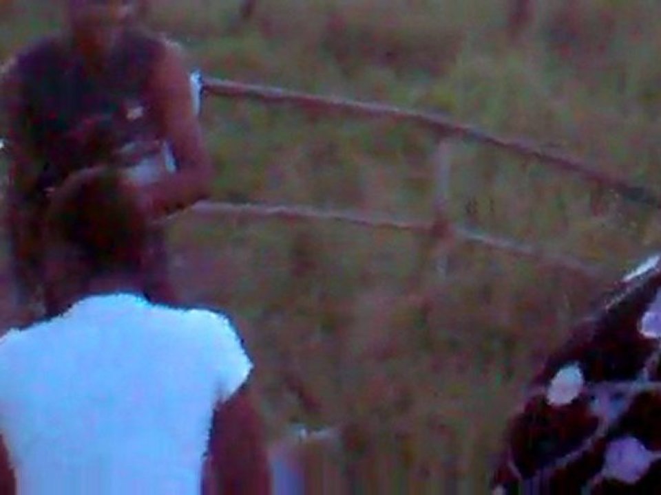 Mgt