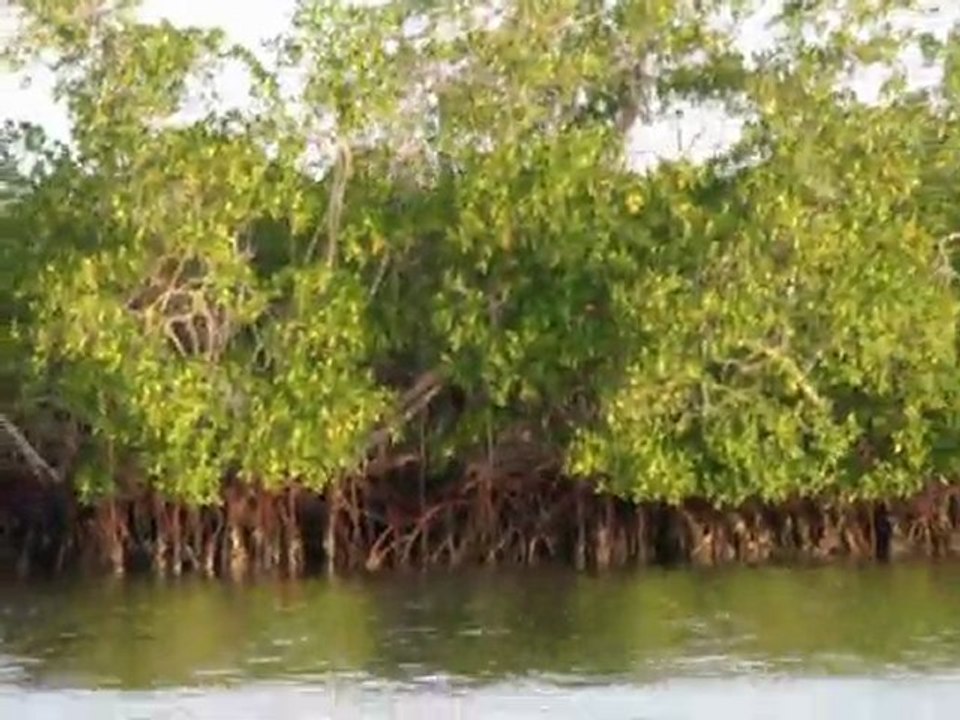video 3 sénégal - cap skirring - la pêche