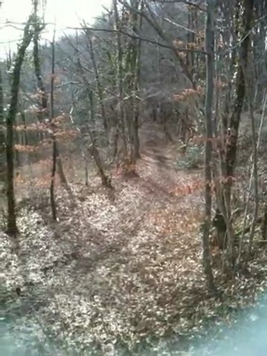 125cc dirt bike crz pro de 2009