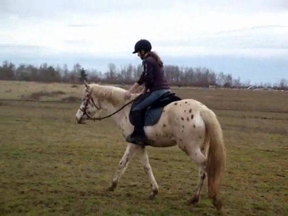 21.02.10 avec Prunelle .