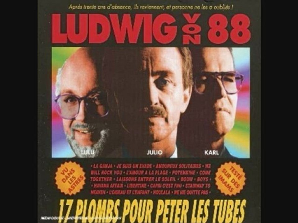 Ludwig von 88 - L'amour à la plage