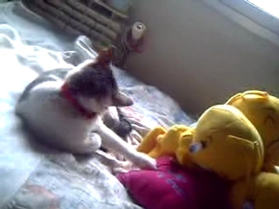 mi princesa