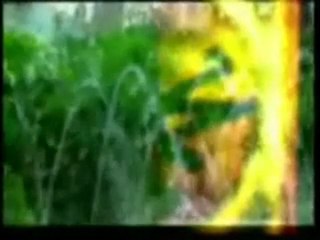 METİN HABOĞLU EFENDİM