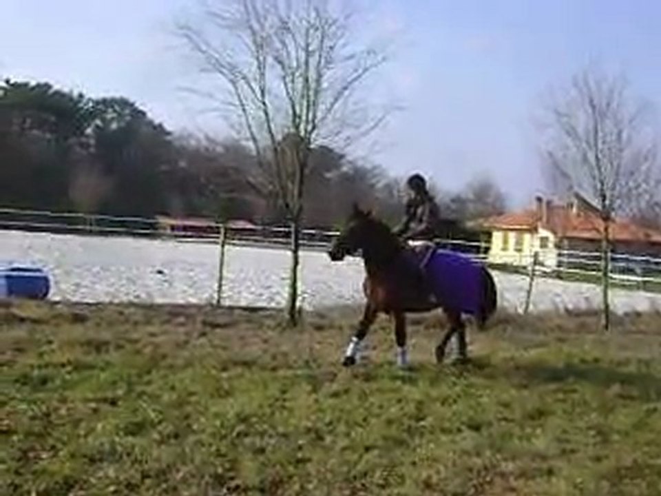 Séance du 14 février 2010.