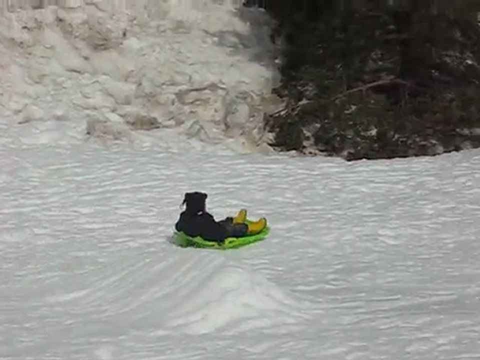 luge aussi !
