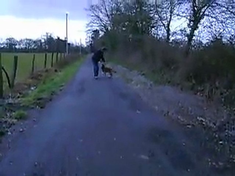 MOV00832