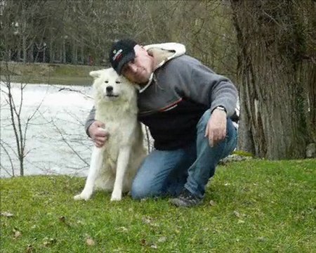 Mon Akita et moi version, longue