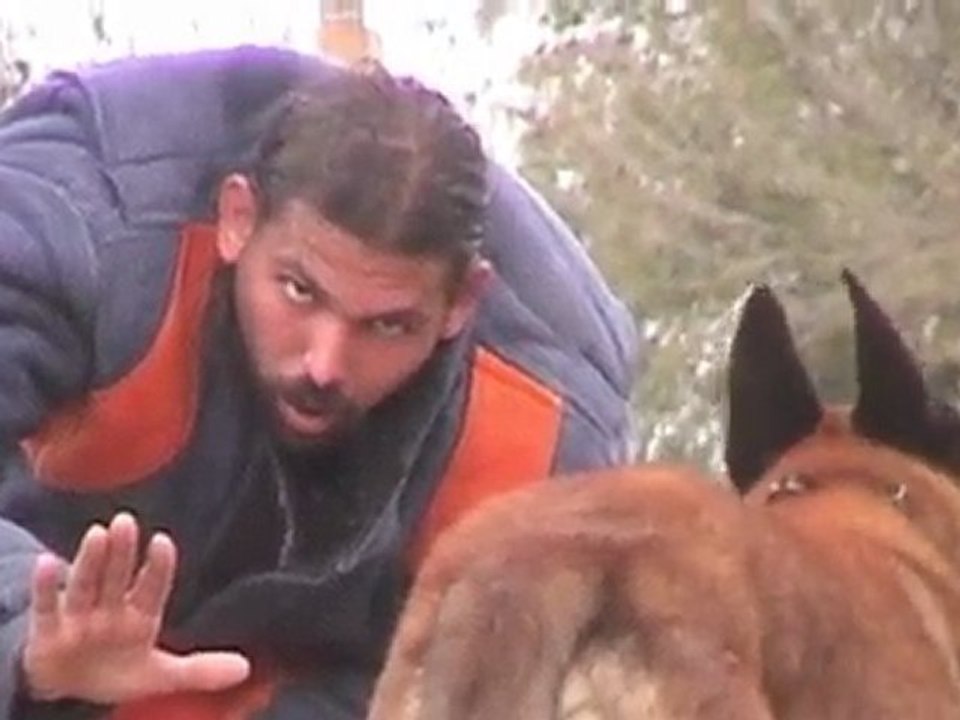 ARF Ramon Rudd Selection