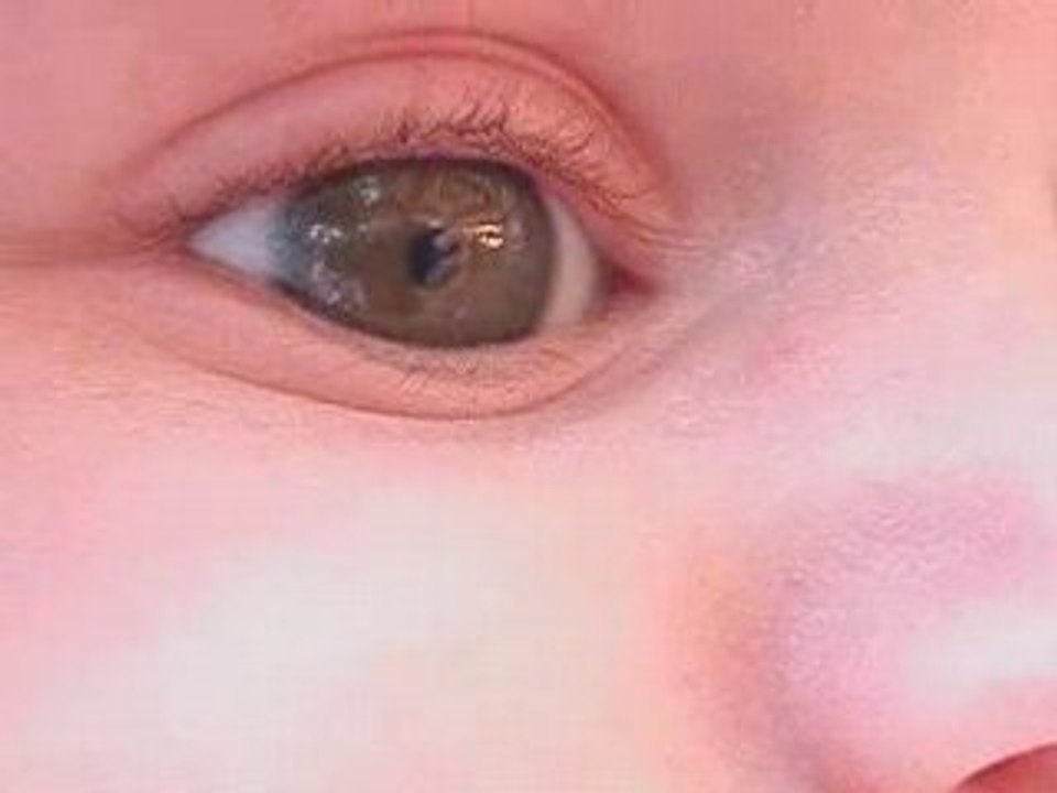 Levi