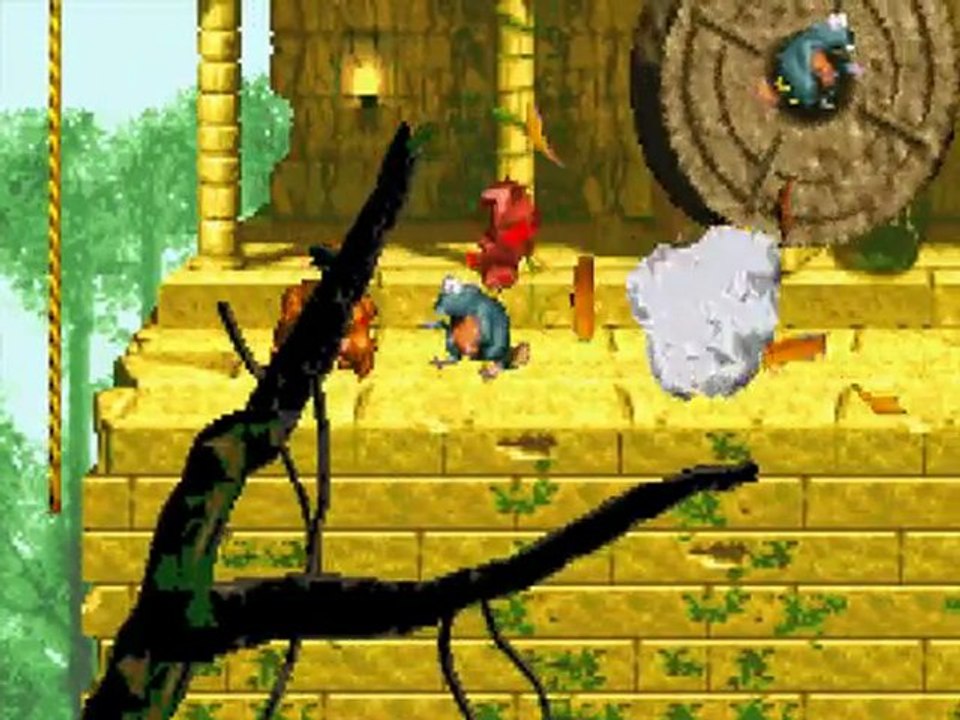Donkey Kong Country (5)
