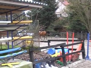 Nadja 25-02-2010 / 4