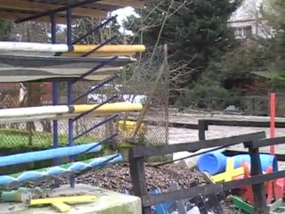 Nadja 25-02-2010 / 2