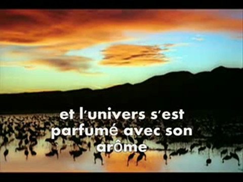 Sur les pas du prophète 2/10 (prophète de la miséricorde )