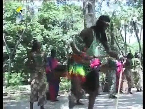 TCHAD VIDÉO TCHADONLINE TV DANSE TRADITIONNELLE TCHADIENNE
