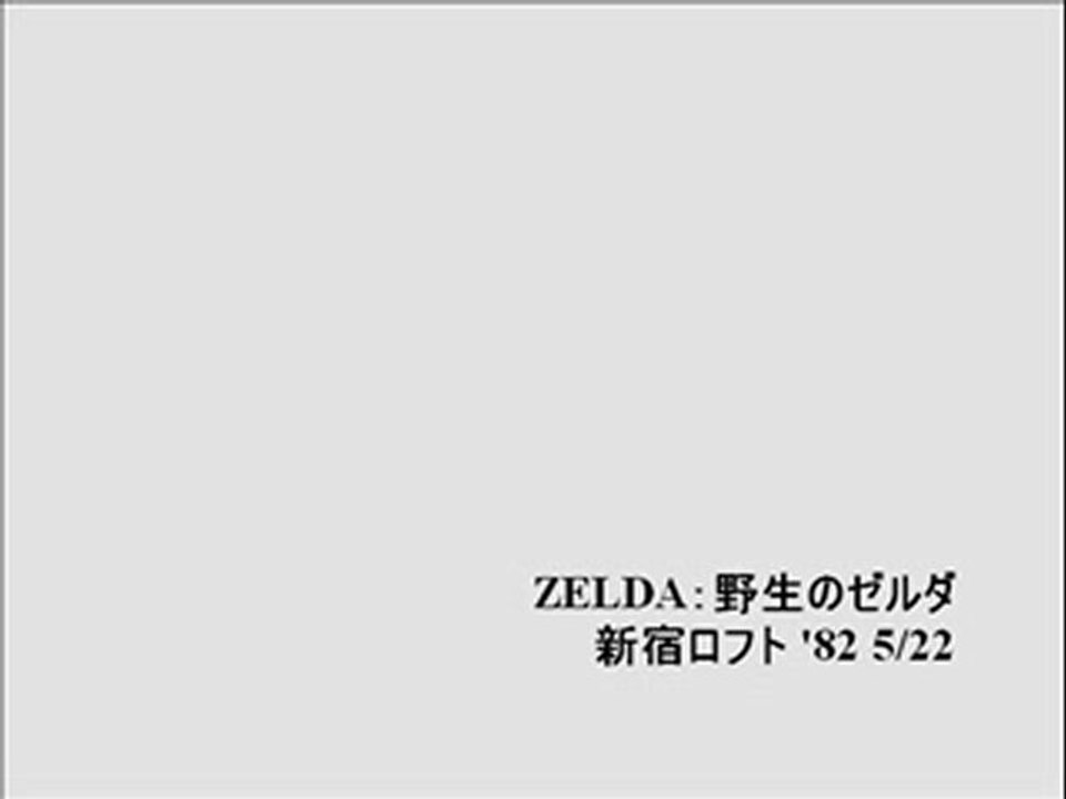 ZELDA：野性のゼルダ(2)