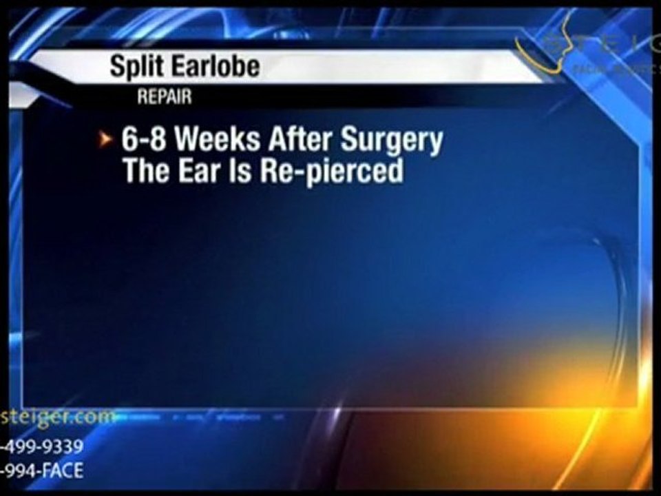 Split Ear Repair in Florida