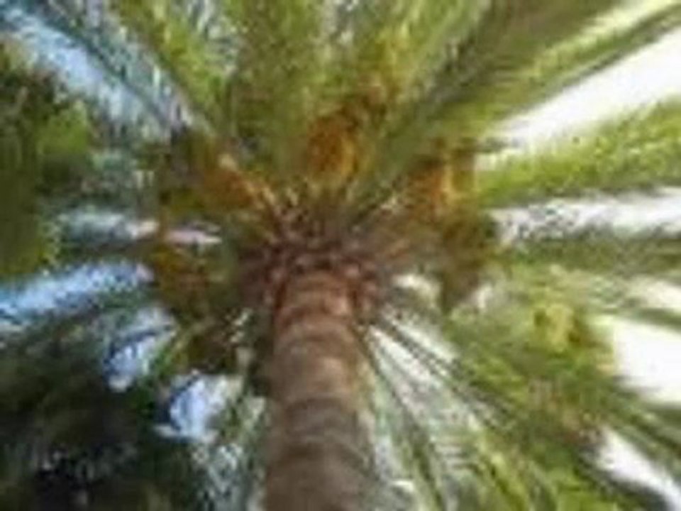 نجد العراق قرن الشيطان 2 من 2