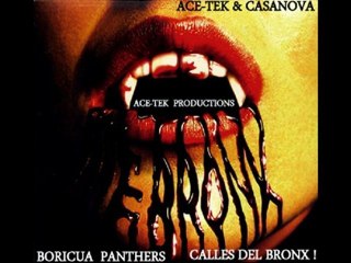 Boricua Panthers/Calles Del Bronx/The Series