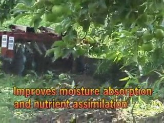 Orchard and Vineyard Weed Control