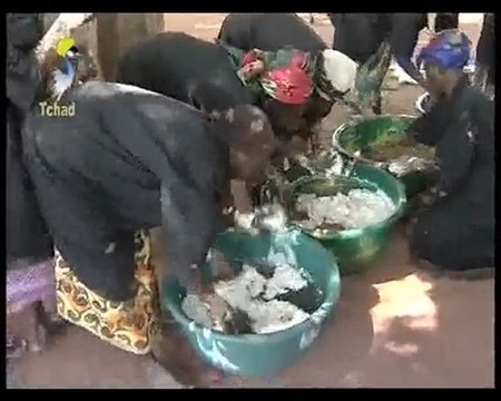 TCHAD VIDÉO TCHADONLINE TV COOPÉRATIVE DES FEMMES TCHADIENNE