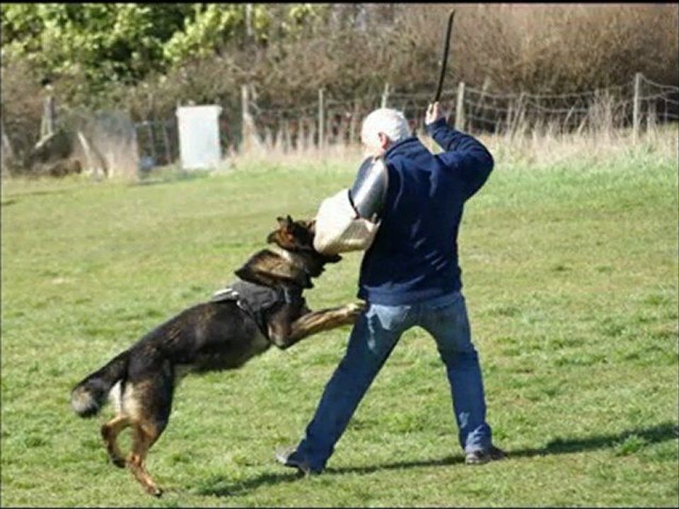 ab caluire entrainement rci 21/02/2010