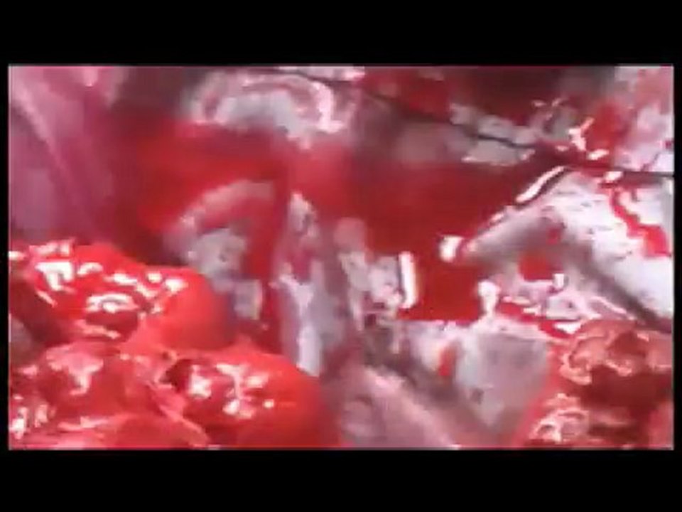 Sewer Chewer TRAILER