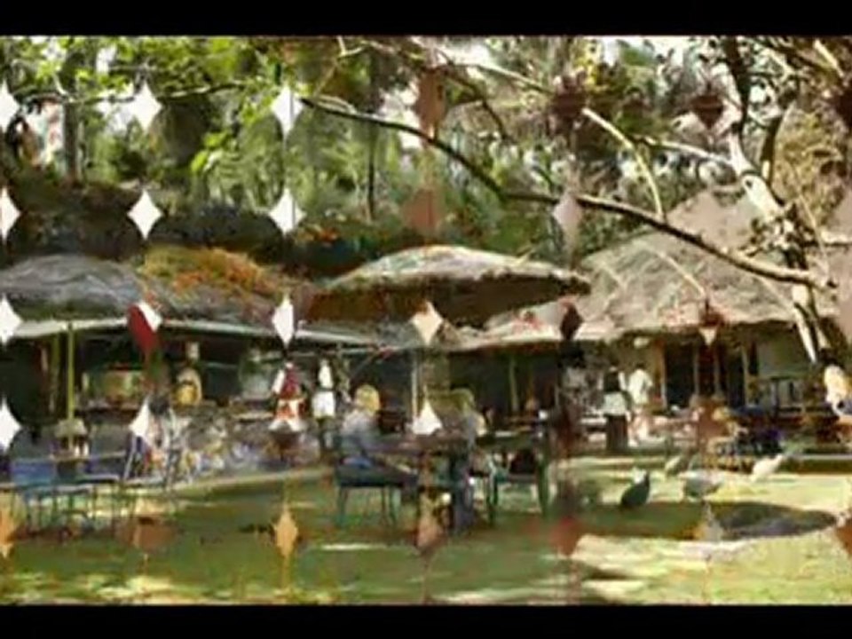 Travel To Care Spice Village Periyar Kerala India Ecotourism