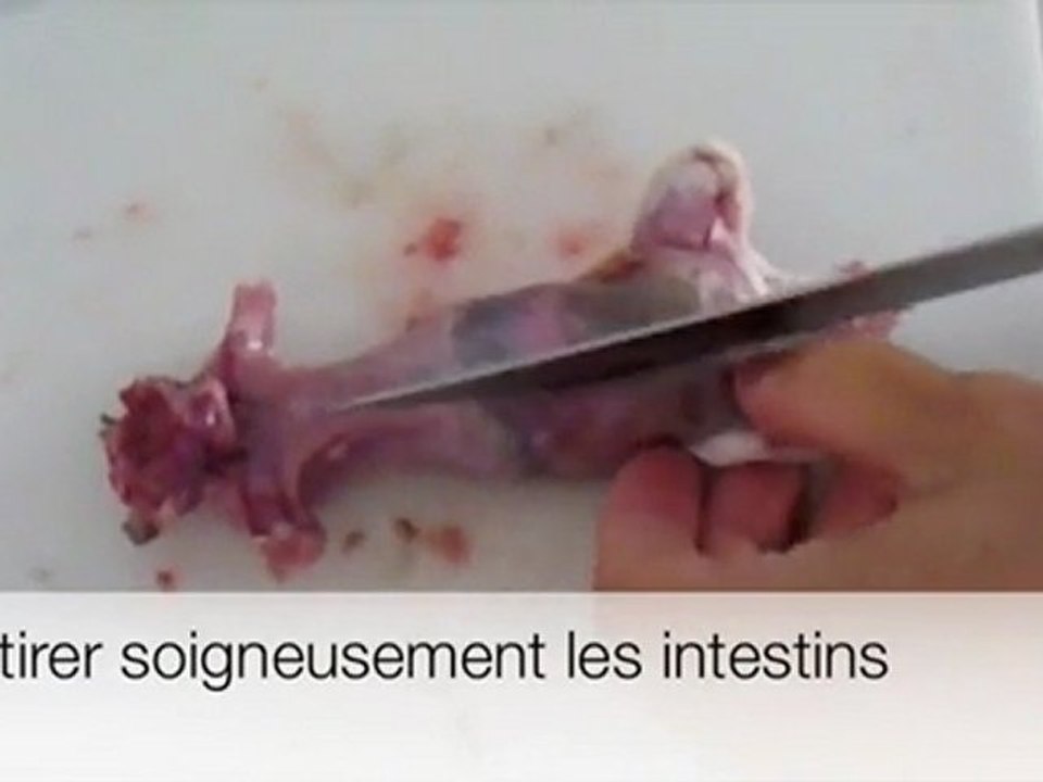 tartare de rat