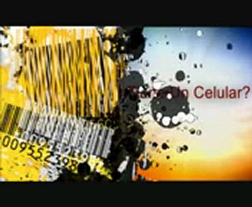 Discover Mobile Marketing