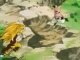 amv dbz les combat de sangoku