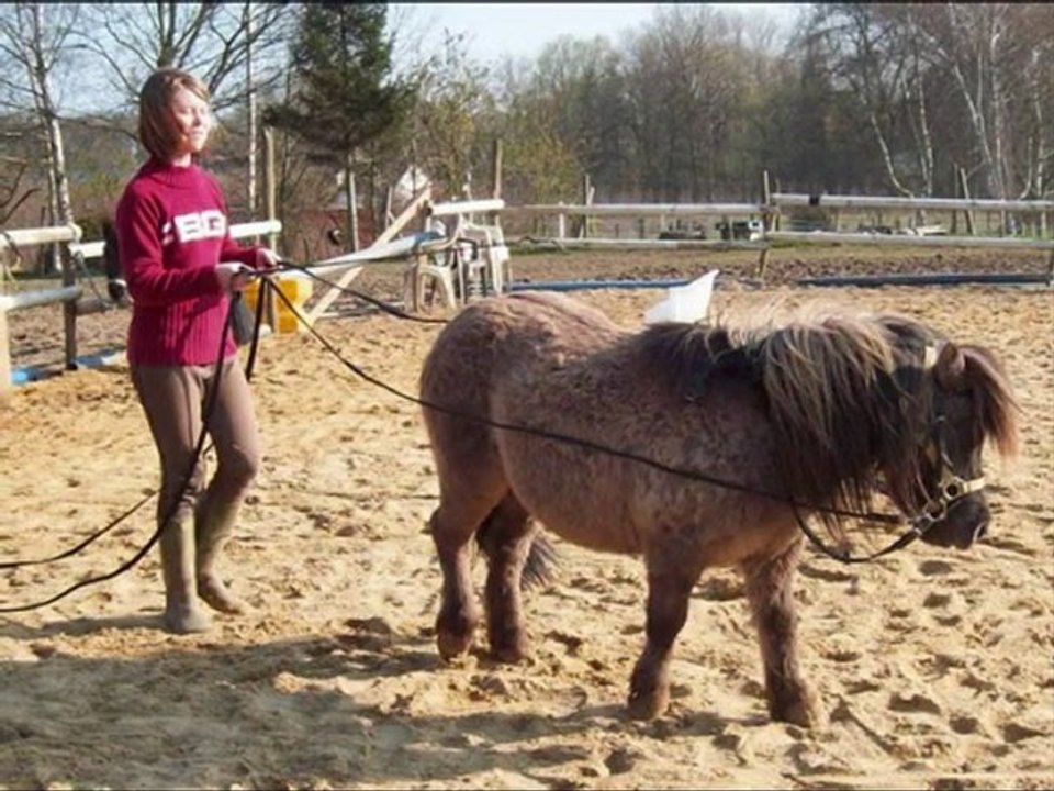 Valentine et Gepetto
