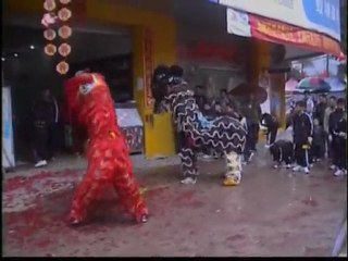 Human Mobile Stage 50L, Kau Tong Village Lion Dance,2010 CNY