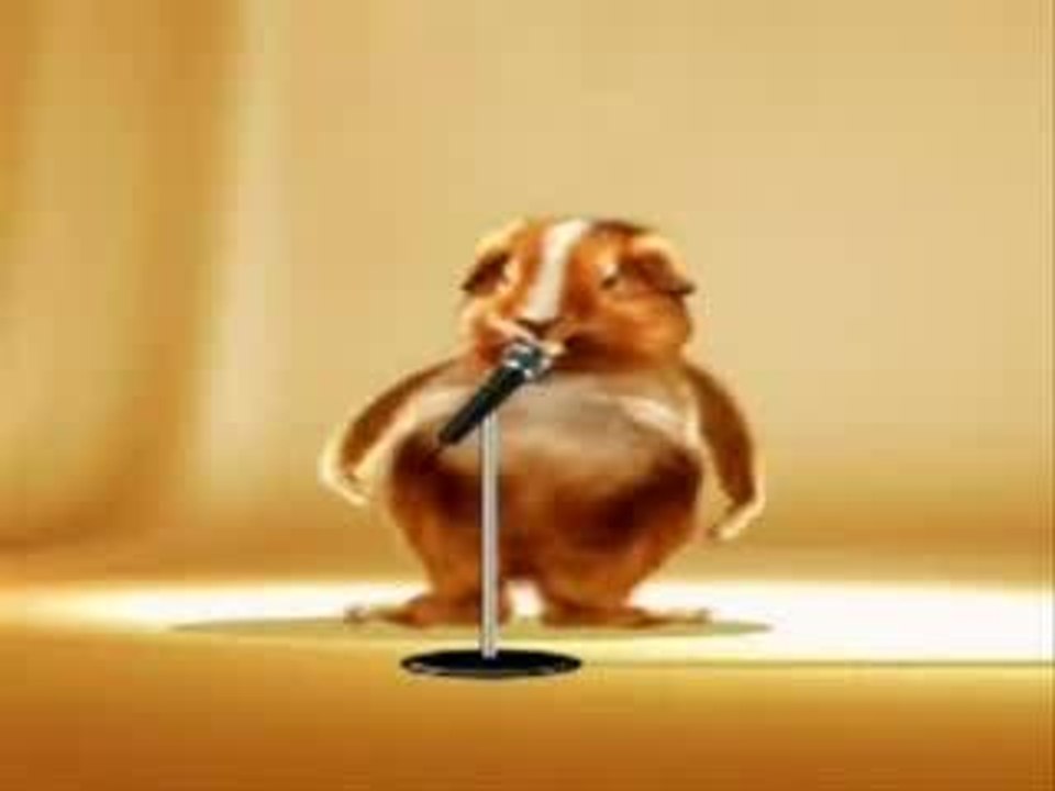 HAMSTER DANCE
