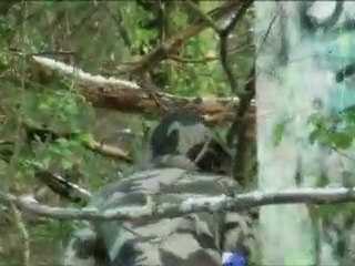 airsoft section carre d'as