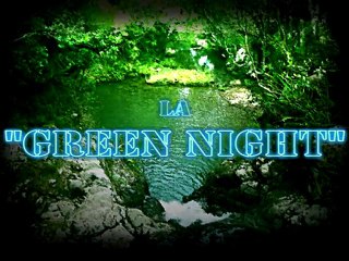 Green Night à la villa club Jeudi 13 mai 2010 avec DJ Dan