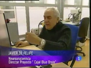 Proyecto Cajal Blue Brain: El conectoma