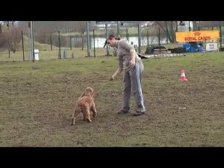 toupy impro obr