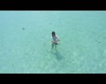 SUN ISLAND Resort and Spa MALDIVES  Avril 2009 total video