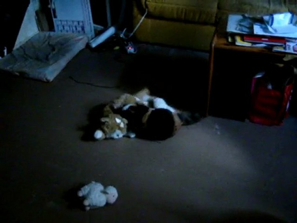 Energy le 26 Fev 2010