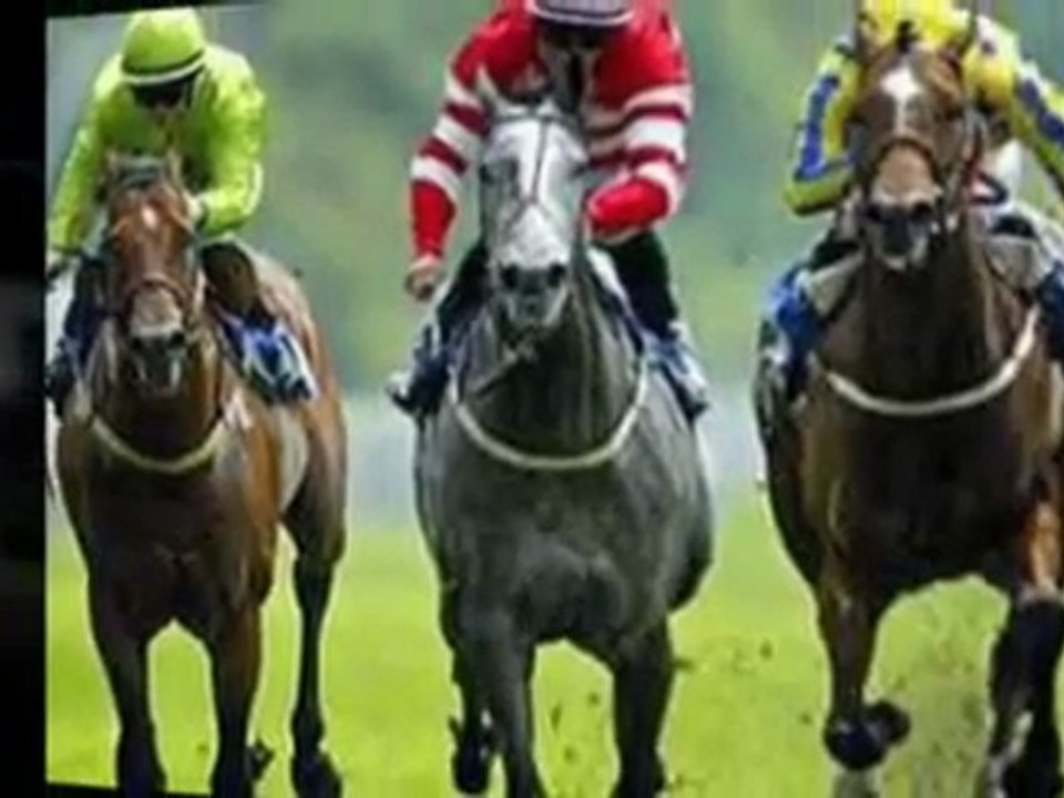 Horse Betting - The Easy Way To Back Winners