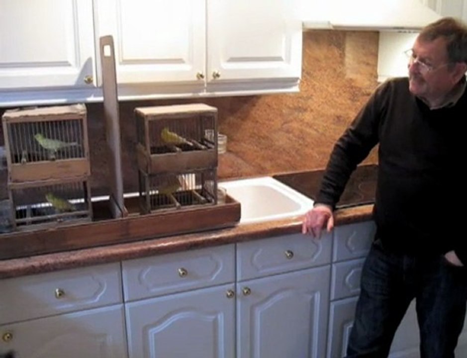 Fresnes-sur-Escaut : Ses canaris sont rois de la chanson