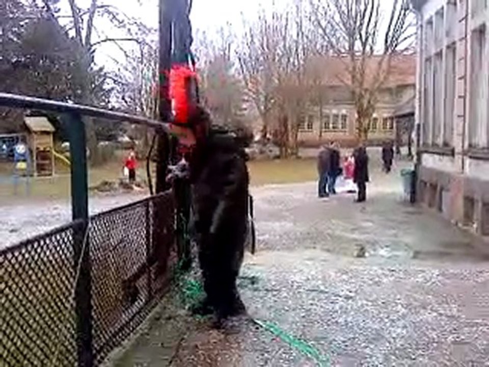 Carnaval3