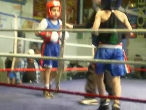 MARLON 4 MOIS DE BOXE ANGLAISE REPRESENTE DON KLESS