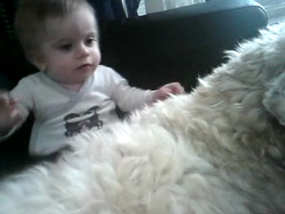 Leker med vår hund Fritiof!