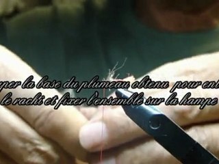 La BRILL, mouche à ombre