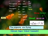 Educational Software by Zafar Habib